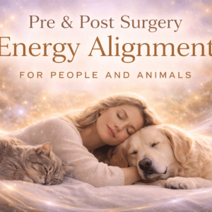 Pre & Post Surgery Energy Alignment for People and Animals