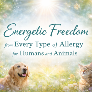 Energetic Freedom from Every Type of Allergy for Humans and Animals