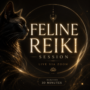 FELINE REIKI SESSION